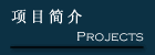 Projects
